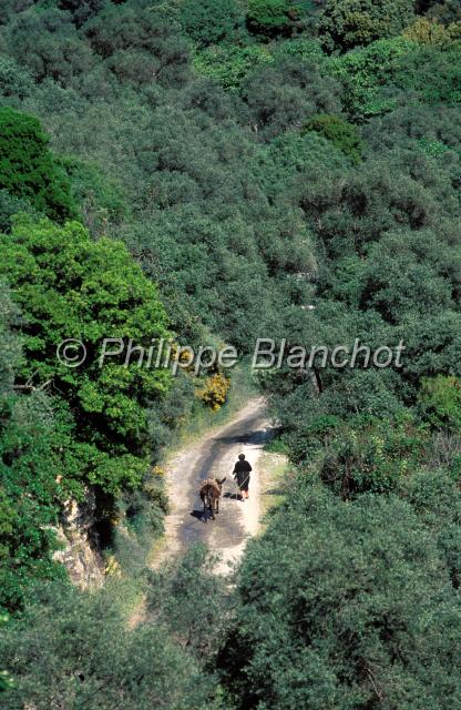 crete 15.JPG - AppleMark